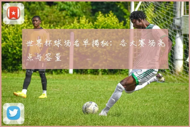 世界杯球场名单揭秘:各大赛场亮点与容量