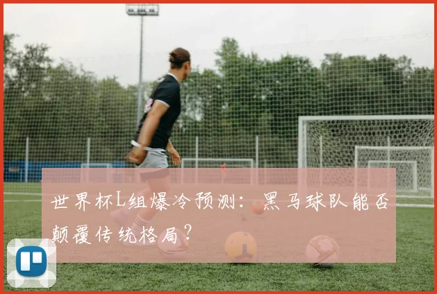 世界杯L组爆冷预测:黑马球队能否颠覆传统格局?